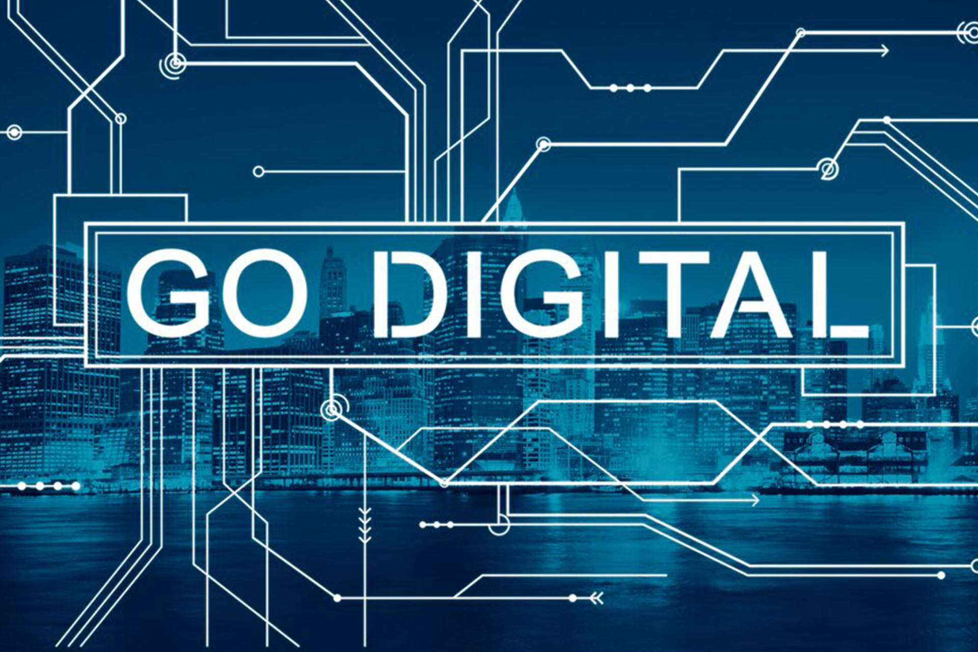 WINGS SOLUTIONS Votre partenaire pour une stratégie digitale réussie